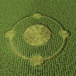 3d Crop Circle