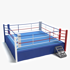 3d Boxing Ring