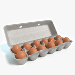3d Carton of Eggs Model