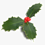 3d Holly Model