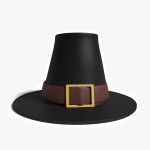 3d Pilgrim Hat