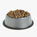 3d Pet Bowl