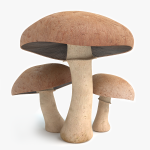 3d Mushrooms