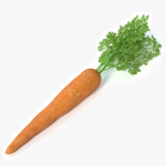 3d Carrot
