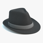 3d Fedora Hat