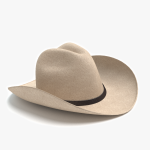 3d Cowboy Hat