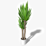 3d Interior House Plant model