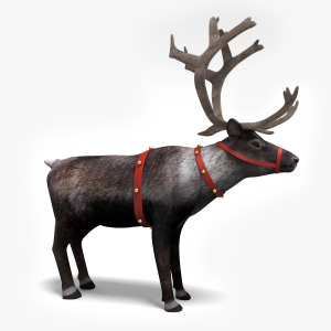 Santa Reindeer