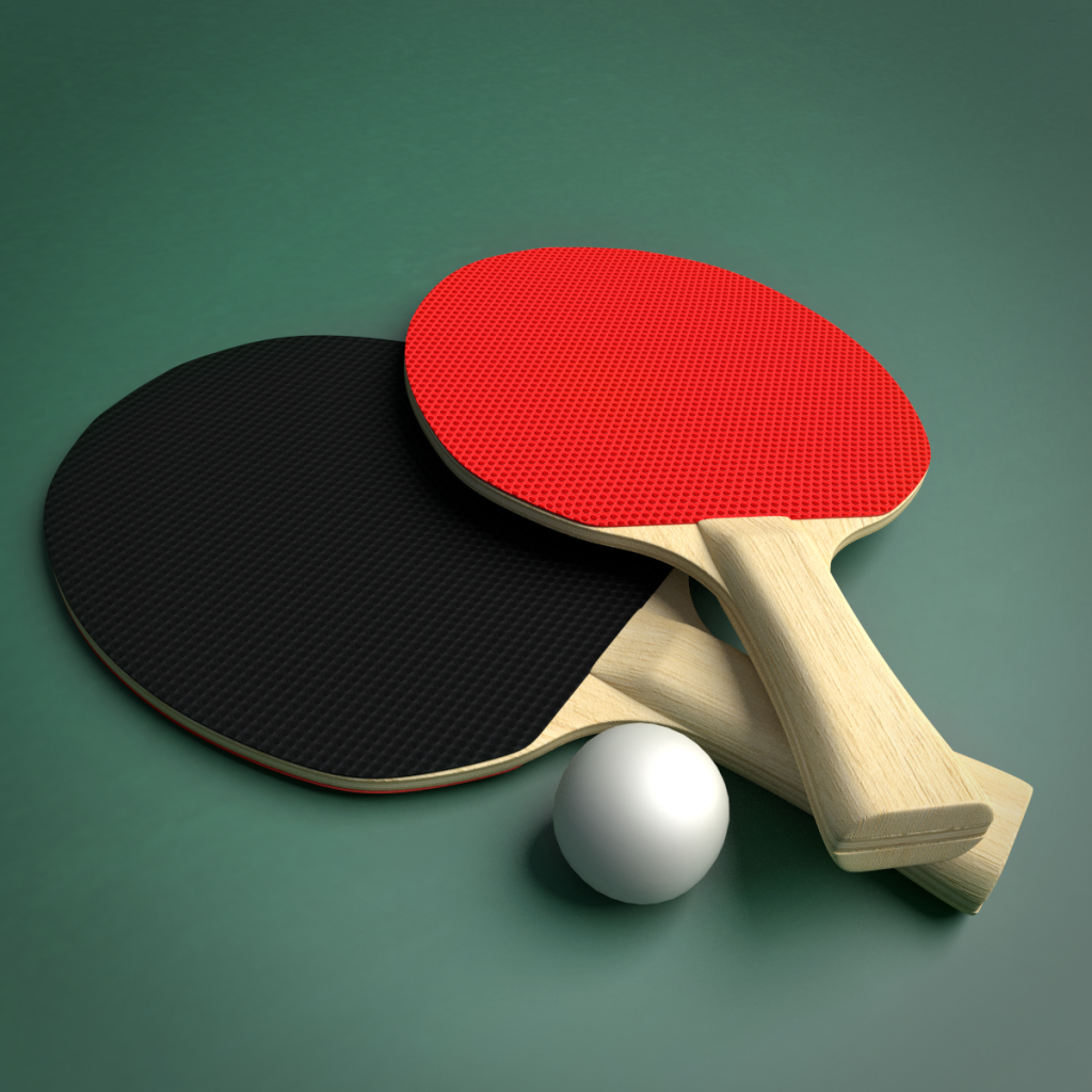 3d Ping Pong Paddles