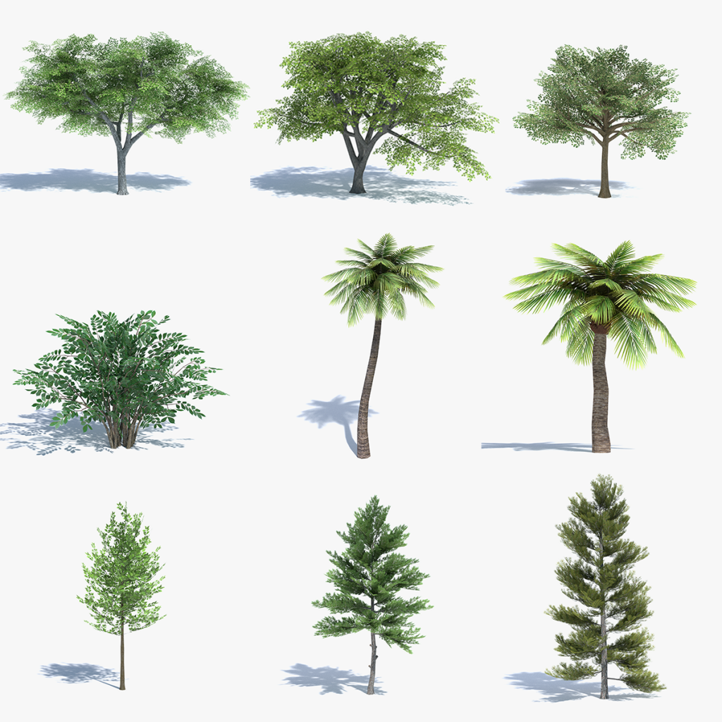 3d Low Poly Trees Set