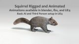 UE4 Squirrel – Basic AI and Third Persion Setup