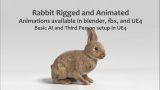 Animated Game Rabbit – UE4 and Blender