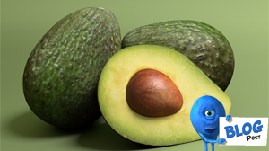 3d Avocados Model